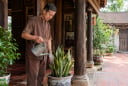 4 tuổi Hợp Duyên trồng cây lưỡi hổ, Tiền cứ thế theo về