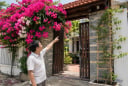Cách trồng hoa giấy nhanh nảy mầm, hoa nở thành chùm