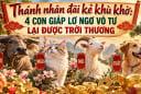 Thánh nhân đãi kẻ khù khờ: 4 con giáp lớ ngớ vô tư lại được trời thương
