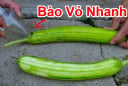 Cách gọt mướp giữ nguyên màu xanh đẹp giòn ngọt