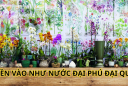Người xưa truyền lại: Nhà có 5 loại hoa này không phú cũng quý, con cháu tài giỏi gia đình cát tường
