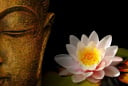 9 bài học của Phật dạy chúng ta cách hóa giải những khó khăn trong cuộc đời