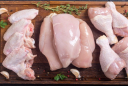 Nhận biết thịt gà ‘bẩn’: Có 5 dấu hiệu này tuyệt đối không mua dù giá rẻ