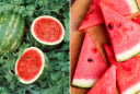 Ăn dưa hấu nóng hay mát? Ai không nên ăn dưa hấu?