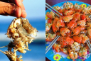 Đặc sản ‘độc nhất vô nhị’ tại Việt Nam: Ngon ngọt như cua ghẹ, du khách ‘săn lùng’ ráo riết