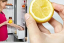 Vắt quả chanh vào tủ lạnh có tác dụng gì mà nhiều người làm theo đến vậy?
