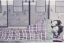 Tại sao người Nhật thường ngủ dưới sàn nhà thay vì ngủ trên giường: Biết lý do rồi không ai muốn là ngược lại