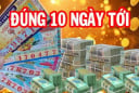 Từ ngày 6/9-16/9: 3 tuổi cá Chép hóa Rồng, vươn mình đón lộc