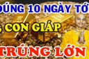 10 ngày cuối cùng tháng 11 dương: 3 tuổi Lộc Tài tăng vọt, không thành tỷ phú cũng là đại gia