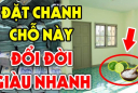 Cắt tư quả chanh cho vào đĩa muối rồi đặt gầm giường: Cả nhà đổi, 3 đời vận giàu sang