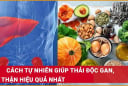 Các bước làm sạch gan, thải hết độc tố trong cơ thể