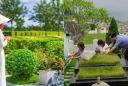 Cuối năm đi tảo mộ nhất định phải nhớ điều này kẻo rước họa về nhà, năm mới xui rủi khó giàu được