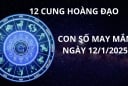 Tử vi ngày 12/1 con số may mắn cho 12 chòm sao nhận lộc trời ban, hứng vàng hốt bạc đầy tay