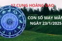 Tử vi ngày 23/1 con số may mắn mang cơn mưa vàng tài lộc tới 12 cung hoàng đạo giúp đổi đời giàu có