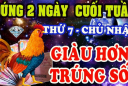 2 ngày cuối tuần (1/2 - 2/2): 3 tuổi tiền vào như nước, 1 tuổi thả ga kiếm tiền