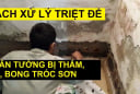 Tường nhà lâu ngày bong tróc mốc đen, phồng rộp, xoa thứ này lên là hết sạch ngay