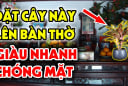 5 loại cây trồng thủy sinh đặt lên bàn thờ Thần Tài: Gia chủ giàu có chóng mặt, đó là cây gì?