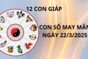 Tử vi ngày 22/3 con số may mắn mang lộc Tổ tiên cho 12 con giáp xoay vận giàu sang
