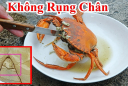 Luộc cua, ghẹ không rụng càng chỉ cần mẹo này vụng mấy cũng làm được hết