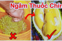 Cách phân biệt sầu riêng chín cây và sầu riêng nhúng thuốc cực đơn giản