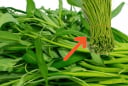 2 cách chế biến cọng rau muống già cực ngon, lạ miệng đổi bữa cho gia đình, đừng vứt bỏ mà lãng phí