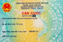 Năm 2026: Chỉ có duy nhất 1 trường hợp được cấp thẻ Căn Cước vô thời hạn