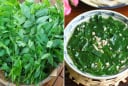 Rau ngót ngon - bổ - rẻ nhưng có 5 nhóm người không nên ăn