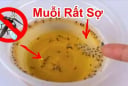 Muỗi sợ nhất 1 bát nước: Khuấy lên rồi đặt góc nhà, muỗi bay đi hết, yên tâm mà ngủ