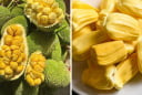 Ai không nên ăn mít, dù chín ngọt cũng không được động tới một miếng?