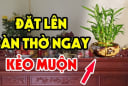 4 loại cây đặt lên bàn thờ Tổ Tiên Ưng Bụng: Gia chủ sớm muộn cũng phát tài