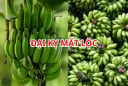 Vì sao người xưa nói ghép 2 nải chuối thắp hương là Đại Kỵ? 5 lưu ý cần tránh khi thắp hương chuối