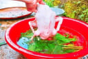 Vò nắm lá này rồi thả vào chậu nước, vặt lông vịt nhanh như chảo chớp, không dính một cọng lông măng