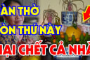 4 thứ càng để lâu trên bàn thờ Tổ Tiên Càng Tức Giận: Hạ ngay xuống trước khi quá muộn, đó là gì?
