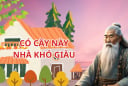 Người xưa dạy: 5 cây cảnh đẹp, có thích cũng không trồng trước nhà, cây tốt thì người suy. Là cây gì?