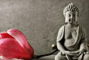 Phật dạy vay tiền không trả không hẳn là xấu, tại sao vậy?
