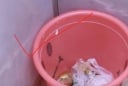 3 vị trí đại kỵ đặt thùng rác khiến gia chủ nghèo mãi không ngóc đầu lên