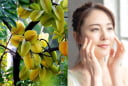 5 Mẹo làm đẹp bất ngờ, da sáng tóc mượt từ cây khế. Trong nhà trồng 1 cây vừa khỏe vừa xinh đẹp