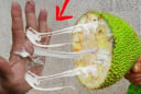 Bóc mít dính đầy nhựa trên tay? Dùng ngay gia vị quen thuộc này, sạch bong trong vài giây