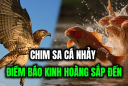 Các cụ nhắc: Chim sa tận nơi không bắt, cá nhảy tận bờ không ăn', vì sao?
