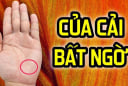 Thầy Tử vi chỉ rõ: Nhìn tướng tay hay hơn tướng mặt, người có 4 điều này 3 đời tiêu không hết của