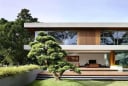 3 cây cảnh này, nhà giàu thường trồng để chiêu tài vượng lộc, gia đình sum vầy vui vẻ, hạnh phúc