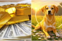 Đất Trời Chứng Dám: 3 tuổi Ăn Ở Phúc Đức, Tiền vào như nước Sông Đà, 1 tuổi Trúng Số ngồi không cũng giàu
