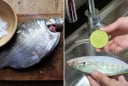 Ngâm cá trong loại nước này, vừa khử mùi tanh vừa giúp thịt chắc ngọt