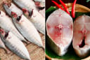Ai không nên ăn cá? Cá bổ dưỡng đến cũng không được động đũa