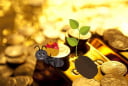 Top 4 tuổi: Trẻ gặp thử thách, sau tuổi 45 đại vận ào tới, Giàu có vang danh, trong Mệnh ẩn vàng