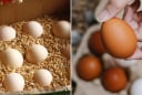 Bảo quản trứng không cần tủ lạnh không khó, làm theo cách này, để cả tháng trứng vẫn tươi ngon