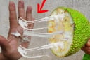 Bóc mít dính nhựa ra tay? Dùng ngay gia vị này để xử lý nhanh, hiệu quả bất ngờ!