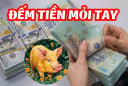 Chuột Rơi Hũ Nếp: Từ ngay mai 3 tuổi này cuộc đời lên hương, đếm tiền mỏi tay