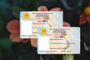 Chú ý: 2 nhóm người này bắt buộc phải dùng Căn cước, không được dùng Căn cước công dân