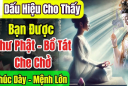 4 điểm trên người là Bồ Tát đánh dấu, mang phúc mang phần cho cả gia đình